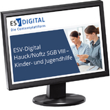 ESV-Digital Hauck/Noftz SGB VIII - Kinder- und Jugendhilfe - Jahresabonnement bei Kombibezug Print und Datenbank - 