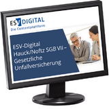 ESV-Digital Hauck/Noftz SGB VIII - Kinder- und Jugendhilfe - Jahresabonnement - 