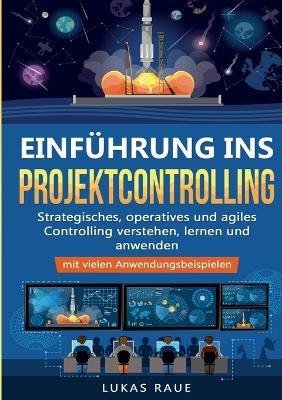 Einführung ins Projektcontrolling - Lukas Raue