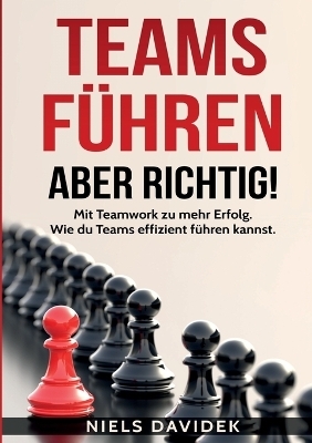 Teams führen - aber richtig! - Niels Davidek