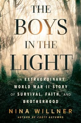 The Boys in the Light - Nina Willner