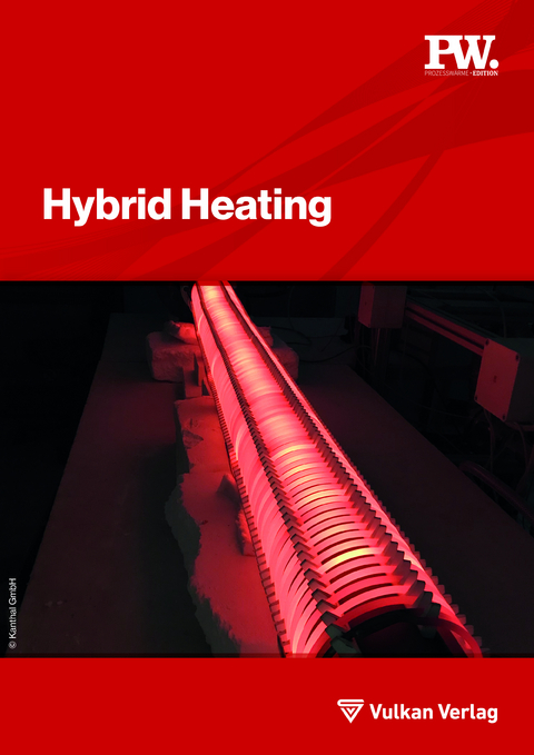 Hybrid Heating - Christian Schwotzer