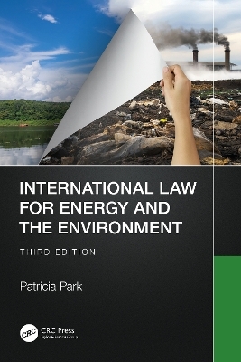 International Law for Energy and the Environment - Patricia Park