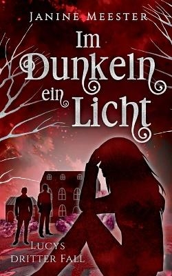 Im Dunkeln ein Licht - Janine Meester