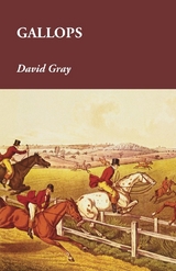 Gallops -  David Gray