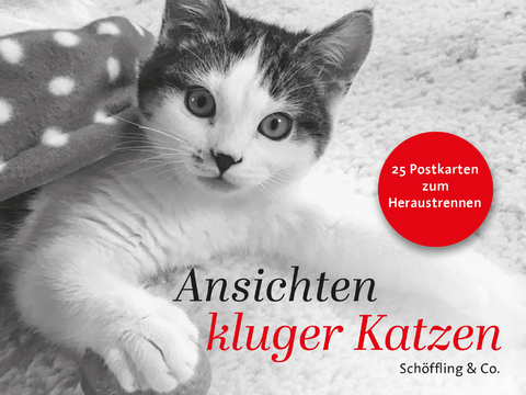 Ansichten kluger Katzen - 