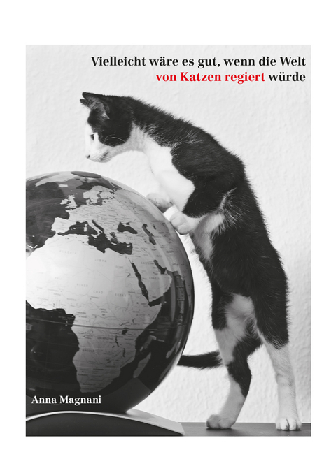 Postkarten Katzen Weltregierung