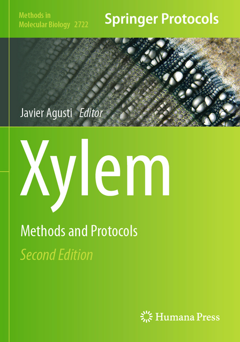 Xylem - 