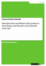 Dimethyl ether and Dibutyl ether produced from Biogas and Biomass and Industrial waste gas - Johann Gruber-Schmidt