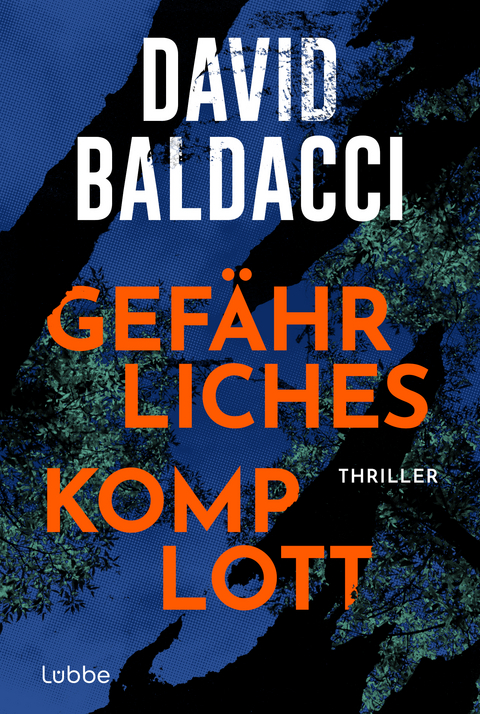 Gefährliches Komplott - David Baldacci