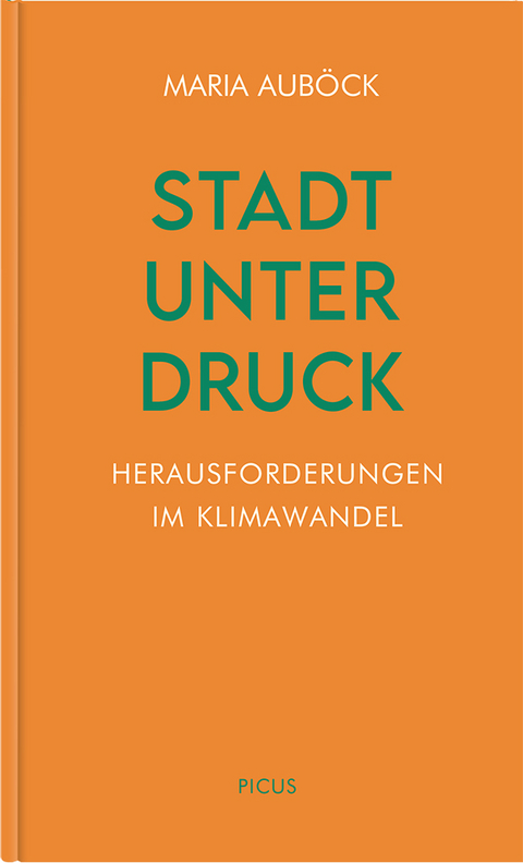 Stadt unter Druck - Maria Auböck