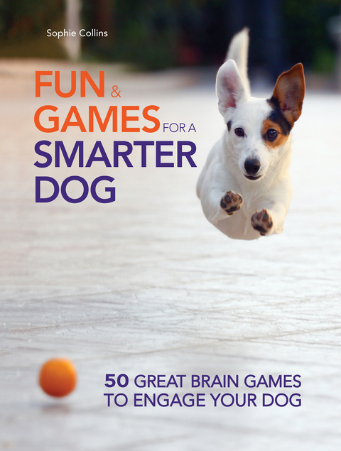 Fun and Games for a Smarter Dog -  Sophie Collins