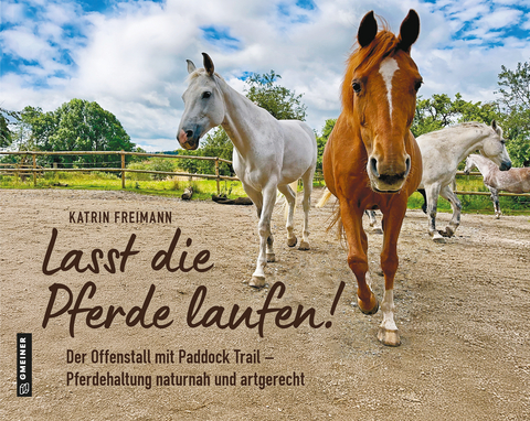 Lasst die Pferde laufen! - Katrin Freimann