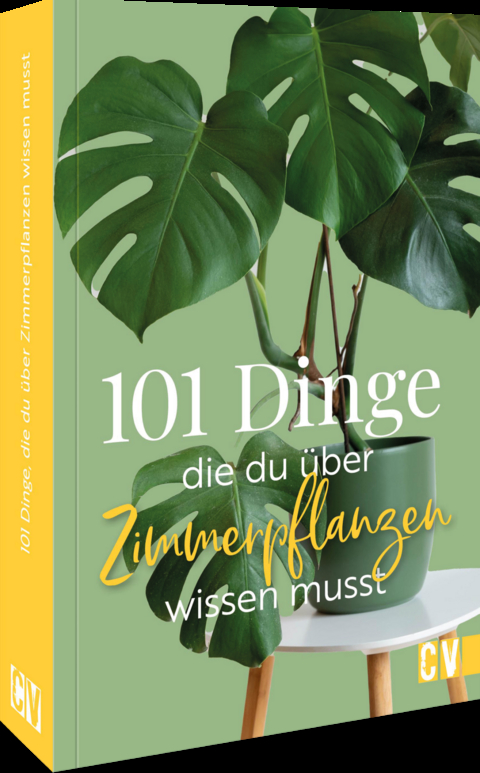 101 Dinge, die Du über Zimmerpflanzen wissen musst