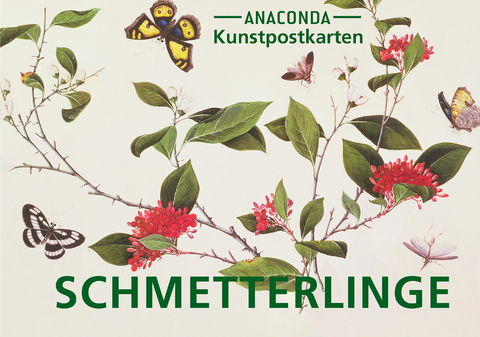 Postkarten-Set Schmetterlinge - 