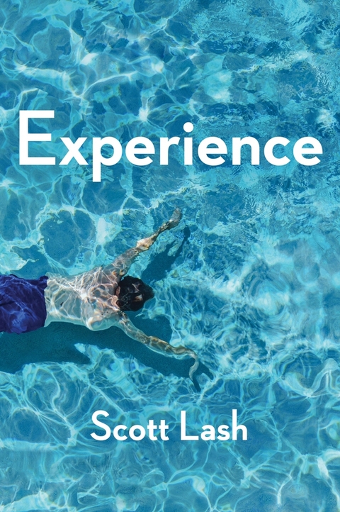 Experience -  Scott Lash