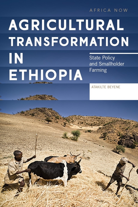 Agricultural Transformation in Ethiopia - 