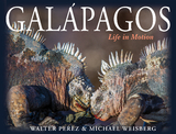 Galapagos -  Walter Perez,  Michael Weisberg