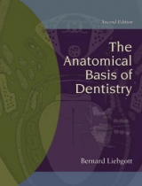 The Anatomical Basis of Dentistry - Liebgott, Bernard