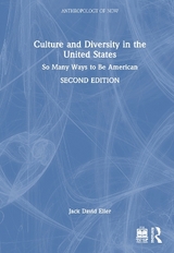 Culture and Diversity in the United States - Eller, Jack David