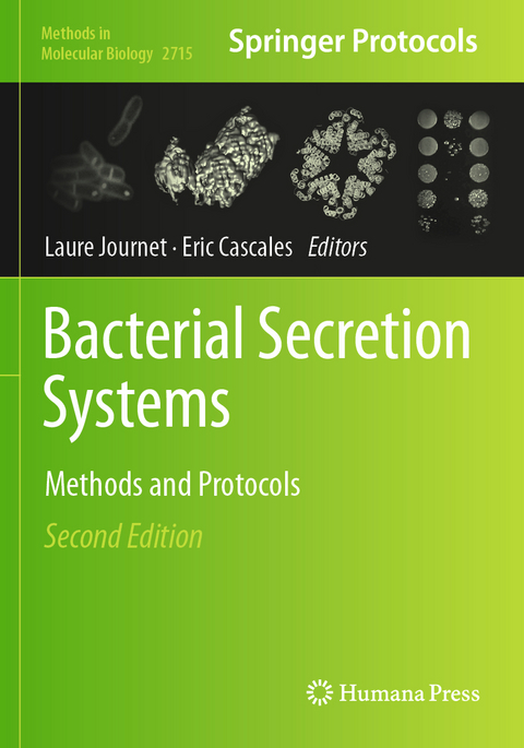 Bacterial Secretion Systems - 