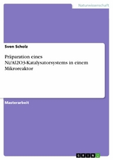 Präparation eines Ni/Al2O3-Katalysatorsystems in einem Mikroreaktor - Sven Scholz