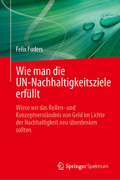 Wie man die UN-Nachhaltigkeitsziele erfüllt - Felix Fuders