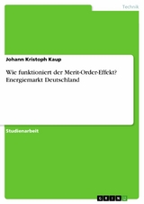 Wie funktioniert der Merit-Order-Effekt? Energiemarkt Deutschland - Johann Kristoph Kaup