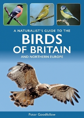 A Naturalist's Guide to the Birds of Britain and Northern Europe - Peter Goodfellow