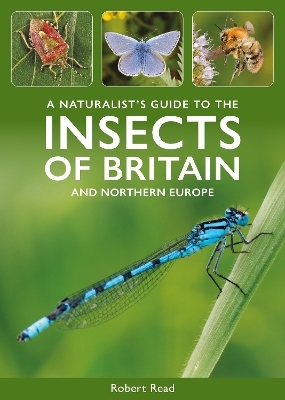 A Naturalist's Guide to the Insects of Britain and Northern Europe - Robert Read