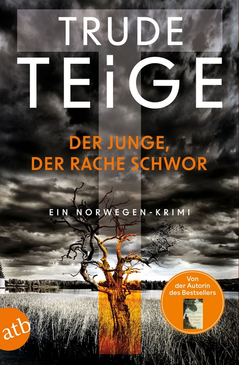 Der Junge, der Rache schwor - Trude Teige