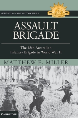 Assault Brigade - Matthew Miller