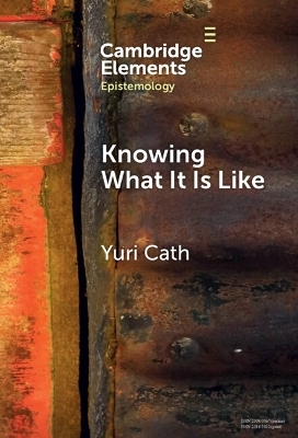 Knowing What It Is Like - Yuri Cath