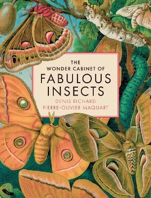 The Wonder Cabinet of Fabulous Insects - Denis Richard, Pierre-Olivier Maquart