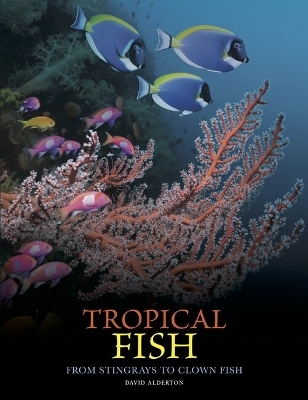 Tropical Fish - David Alderton