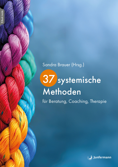 37 systemische Methoden - Sandra Brauer