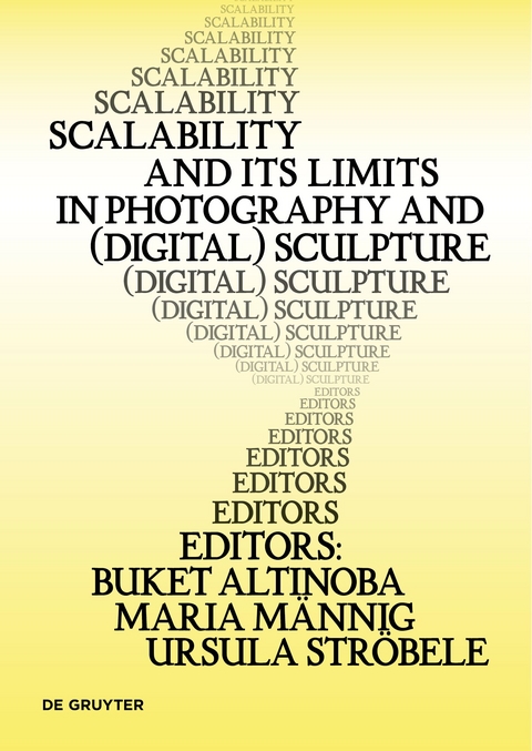 Scalability and its Limits in Photography and (Digital) Sculpture - 