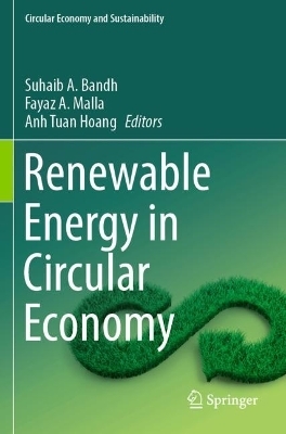 Renewable Energy in Circular Economy - 