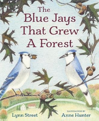 The Blue Jays That Grew a Forest - Lynn Street