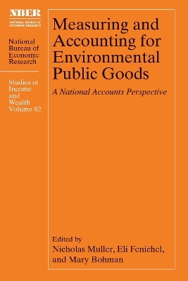 Measuring and Accounting for Environmental Public Goods - 