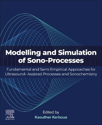 Modeling and Simulation of Sono-Processes - 