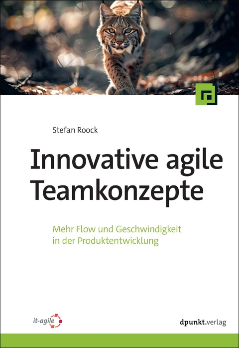 Innovative agile Teamkonzepte - Stefan Roock