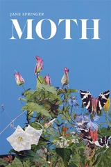 Moth -  Jane Springer