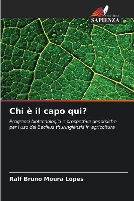 Chi è il capo qui? - Ralf Bruno Moura Lopes