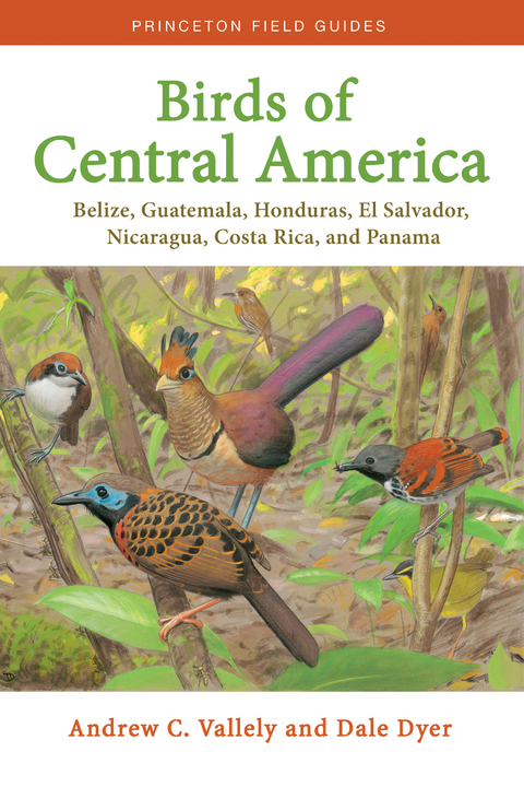 Birds of Central America -  Dale Dyer,  Andrew C. Vallely