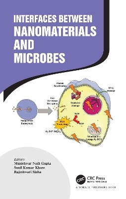 Interfaces Between Nanomaterials and Microbes - 