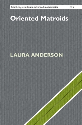 Oriented Matroids - Laura Anderson