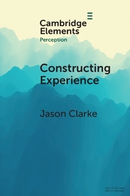 Constructing Experience - Jason Clarke