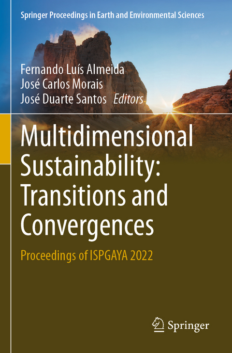 Multidimensional Sustainability: Transitions and Convergences - 