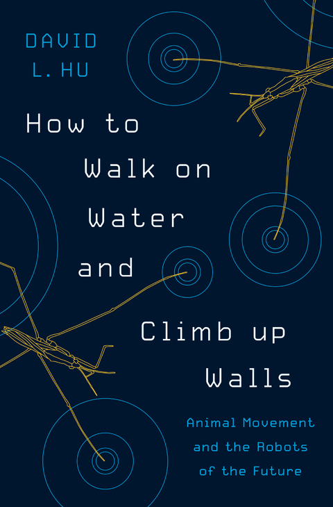 How to Walk on Water and Climb up Walls - David Hu